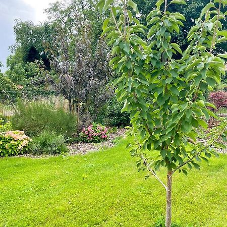 Ferienwohnung Kamrath Mit Wunderschoenem Ausblick Neuruppin Extérieur photo