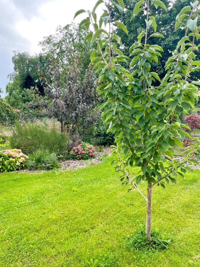Ferienwohnung Kamrath Mit Wunderschoenem Ausblick Neuruppin Extérieur photo