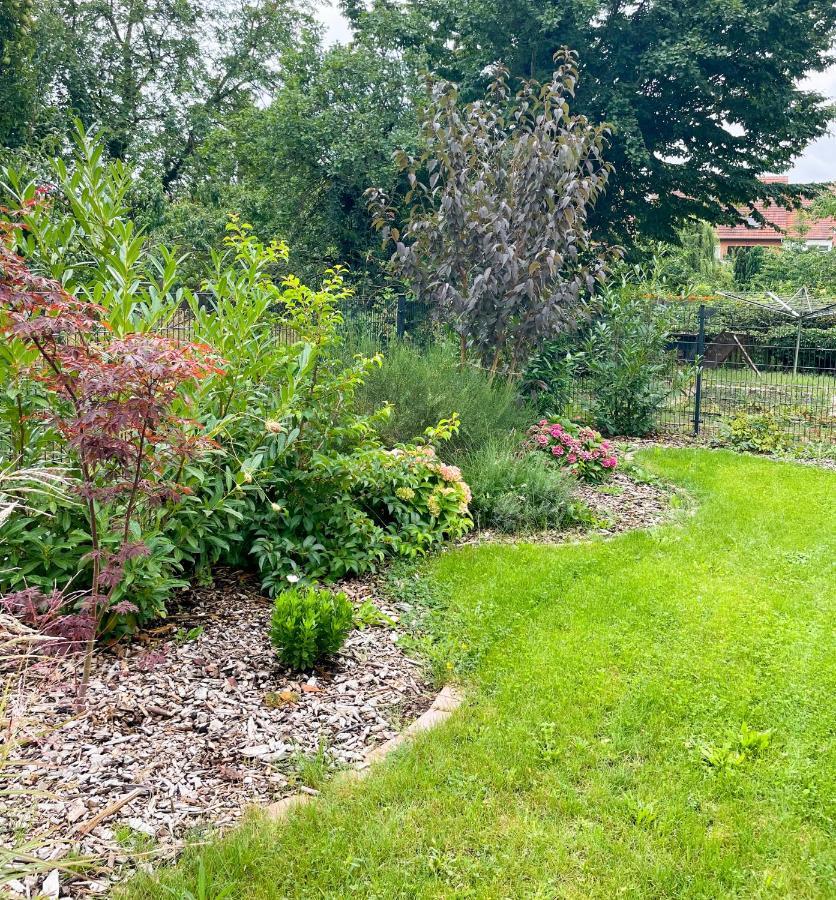 Ferienwohnung Kamrath Mit Wunderschoenem Ausblick Neuruppin Extérieur photo